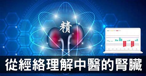 納氣|從腎經組成的經絡型態，理解中醫的「腎臟」究竟是什麼？